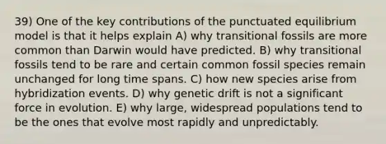 39) One of the key contributions of the punctuated equilibrium model is that it helps explain A) why transitional fossils are more common than Darwin would have predicted. B) why transitional fossils tend to be rare and certain common fossil species remain unchanged for long time spans. C) how new species arise from hybridization events. D) why genetic drift is not a significant force in evolution. E) why large, widespread populations tend to be the ones that evolve most rapidly and unpredictably.