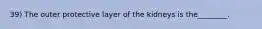 39) The outer protective layer of the kidneys is the________.