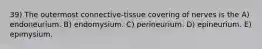 39) The outermost connective-tissue covering of nerves is the A) endoneurium. B) endomysium. C) perineurium. D) epineurium. E) epimysium.