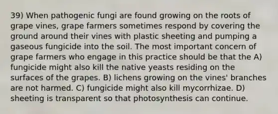 39) When pathogenic fungi are found growing on the roots of grape vines, grape farmers sometimes respond by covering the ground around their vines with plastic sheeting and pumping a gaseous fungicide into the soil. The most important concern of grape farmers who engage in this practice should be that the A) fungicide might also kill the native yeasts residing on the surfaces of the grapes. B) lichens growing on the vines' branches are not harmed. C) fungicide might also kill mycorrhizae. D) sheeting is transparent so that photosynthesis can continue.