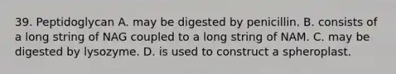 39. Peptidoglycan A. may be digested by penicillin. B. consists of a long string of NAG coupled to a long string of NAM. C. may be digested by lysozyme. D. is used to construct a spheroplast.