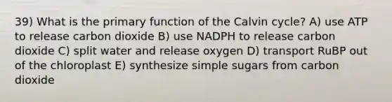 39) What is the primary function of the Calvin cycle? A) use ATP to release carbon dioxide B) use NADPH to release carbon dioxide C) split water and release oxygen D) transport RuBP out of the chloroplast E) synthesize simple sugars from carbon dioxide