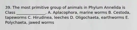 39. The most primitive group of animals in Phylum Annelida is Class _______________. A. Aplacophora, marine worms B. Cestoda, tapeworms C. Hirudinea, leeches D. Oligochaeta, earthworms E. Polychaeta, jawed worms