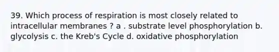 39. Which process of respiration is most closely related to intracellular membranes ? a . substrate level phosphorylation b. glycolysis c. the Kreb's Cycle d. oxidative phosphorylation