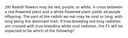 39) Radish flowers may be red, purple, or white. A cross between a red-flowered plant and a white-flowered plant yields all-purple offspring. The part of the radish we eat may be oval or long, with long being the dominant trait. If true-breeding red long radishes are crossed with true-breeding white oval radishes, the F1 will be expected to be which of the following?