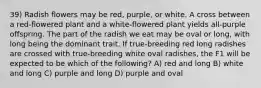 39) Radish flowers may be red, purple, or white. A cross between a red-flowered plant and a white-flowered plant yields all-purple offspring. The part of the radish we eat may be oval or long, with long being the dominant trait. If true-breeding red long radishes are crossed with true-breeding white oval radishes, the F1 will be expected to be which of the following? A) red and long B) white and long C) purple and long D) purple and oval