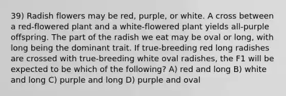 39) Radish flowers may be red, purple, or white. A cross between a red-flowered plant and a white-flowered plant yields all-purple offspring. The part of the radish we eat may be oval or long, with long being the dominant trait. If true-breeding red long radishes are crossed with true-breeding white oval radishes, the F1 will be expected to be which of the following? A) red and long B) white and long C) purple and long D) purple and oval