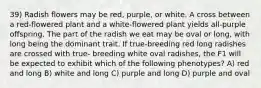 39) Radish flowers may be red, purple, or white. A cross between a red-flowered plant and a white-flowered plant yields all-purple offspring. The part of the radish we eat may be oval or long, with long being the dominant trait. If true-breeding red long radishes are crossed with true- breeding white oval radishes, the F1 will be expected to exhibit which of the following phenotypes? A) red and long B) white and long C) purple and long D) purple and oval