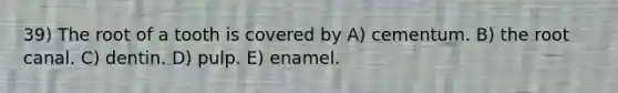 39) The root of a tooth is covered by A) cementum. B) the root canal. C) dentin. D) pulp. E) enamel.