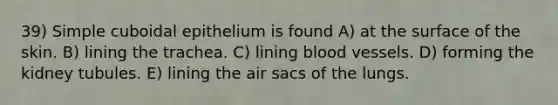 39) Simple cuboidal epithelium is found A) at the surface of the skin. B) lining the trachea. C) lining <a href='https://www.questionai.com/knowledge/kZJ3mNKN7P-blood-vessels' class='anchor-knowledge'>blood vessels</a>. D) forming the kidney tubules. E) lining the air sacs of the lungs.