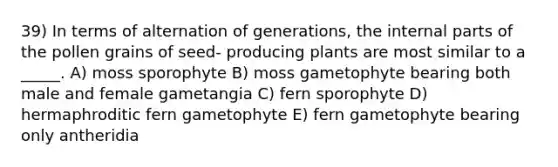 39) In terms of alternation of generations, the internal parts of the pollen grains of seed- producing plants are most similar to a _____. A) moss sporophyte B) moss gametophyte bearing both male and female gametangia C) fern sporophyte D) hermaphroditic fern gametophyte E) fern gametophyte bearing only antheridia