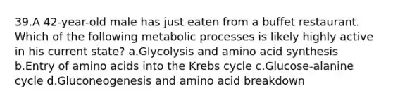 39.A 42-year-old male has just eaten from a buffet restaurant. Which of the following metabolic processes is likely highly active in his current state? a.Glycolysis and amino acid synthesis b.Entry of amino acids into the Krebs cycle c.Glucose-alanine cycle d.Gluconeogenesis and amino acid breakdown