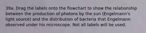 39a. Drag the labels onto the flowchart to show the relationship between the production of photons by the sun (Engelmann's light source) and the distribution of bacteria that Engelmann observed under his microscope. Not all labels will be used.