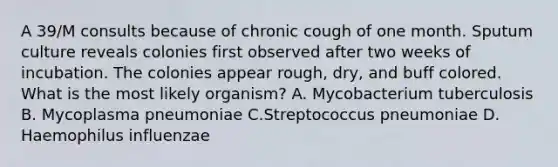 A 39/M consults because of chronic cough of one month. Sputum culture reveals colonies first observed after two weeks of incubation. The colonies appear rough, dry, and buff colored. What is the most likely organism? A. Mycobacterium tuberculosis B. Mycoplasma pneumoniae C.Streptococcus pneumoniae D. Haemophilus influenzae