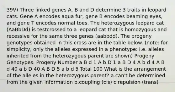 39V) Three linked genes A, B and D determine 3 traits in leopard cats. Gene A encodes aqua fur, gene B encodes beaming eyes, and gene T encodes normal toes. The heterozygous leopard cat (AaBbDd) is testcrossed to a leopard cat that is homozygous and recessive for the same three genes (aabbdd). The progeny genotypes obtained in this cross are in the table below. (note: for simplicity, only the alleles expressed in a phenotype: i.e. alleles inherited from the heterozygous parent are shown) Progeny Genotypes. Progeny Number a B d 1 A b D 1 a B D 4 A b d 4 A B d 40 a b D 40 A B D 5 a b d 5 Total 100 What is the arrangement of the alleles in the heterozygous parent? a.can't be determined from the given information b.coupling (cis) c.repulsion (trans)