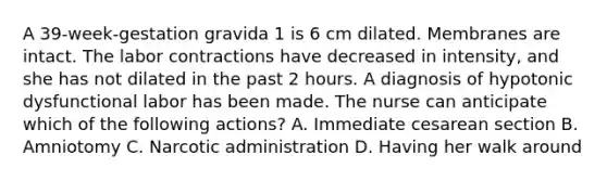 A 39-week-gestation gravida 1 is 6 cm dilated. Membranes are intact. The labor contractions have decreased in intensity, and she has not dilated in the past 2 hours. A diagnosis of hypotonic dysfunctional labor has been made. The nurse can anticipate which of the following actions? A. Immediate cesarean section B. Amniotomy C. Narcotic administration D. Having her walk around