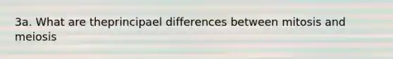 3a. What are theprincipael differences between mitosis and meiosis