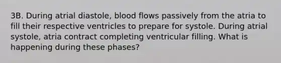 3B. During atrial diastole, blood flows passively from the atria to fill their respective ventricles to prepare for systole. During atrial systole, atria contract completing ventricular filling. What is happening during these phases?