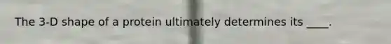 The 3-D shape of a protein ultimately determines its ____.