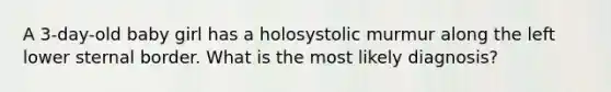 A 3-day-old baby girl has a holosystolic murmur along the left lower sternal border. What is the most likely diagnosis?