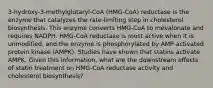 3-hydroxy-3-methylglutaryl-CoA (HMG-CoA) reductase is the enzyme that catalyzes the rate-limiting step in cholesterol biosynthesis. This enzyme converts HMG-CoA to mevalonate and requires NADPH. HMG-CoA reductase is most active when it is unmodified, and the enzyme is phosphorylated by AMP-activated protein kinase (AMPK). Studies have shown that statins activate AMPK. Given this information, what are the downstream effects of statin treatment on HMG-CoA reductase activity and cholesterol biosynthesis?