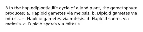 3.In the haplodiplontic life cycle of a land plant, the gametophyte produces: a. Haploid gametes via meiosis. b. Diploid gametes via mitosis. c. Haploid gametes via mitosis. d. Haploid spores via meiosis. e. Diploid spores via mitosis