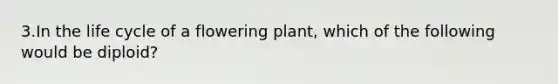 3.In the life cycle of a flowering plant, which of the following would be diploid?