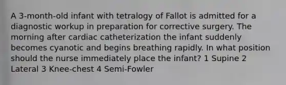 A 3-month-old infant with tetralogy of Fallot is admitted for a diagnostic workup in preparation for corrective surgery. The morning after cardiac catheterization the infant suddenly becomes cyanotic and begins breathing rapidly. In what position should the nurse immediately place the infant? 1 Supine 2 Lateral 3 Knee-chest 4 Semi-Fowler