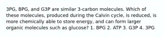 3PG, BPG, and G3P are similar 3-carbon molecules. Which of these molecules, produced during the Calvin cycle, is reduced, is more chemically able to store energy, and can form larger organic molecules such as glucose? 1. BPG 2. ATP 3. G3P 4. 3PG