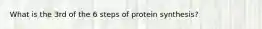 What is the 3rd of the 6 steps of protein synthesis?