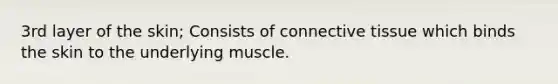 3rd layer of the skin; Consists of connective tissue which binds the skin to the underlying muscle.