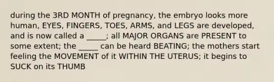 during the 3RD MONTH of pregnancy, the embryo looks more human, EYES, FINGERS, TOES, ARMS, and LEGS are developed, and is now called a _____; all MAJOR ORGANS are PRESENT to some extent; the _____ can be heard BEATING; the mothers start feeling the MOVEMENT of it WITHIN THE UTERUS; it begins to SUCK on its THUMB