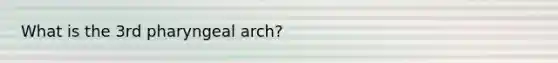 What is the 3rd pharyngeal arch?