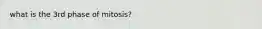 what is the 3rd phase of mitosis?