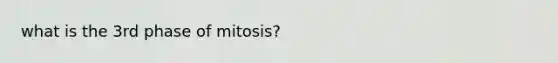 what is the 3rd phase of mitosis?