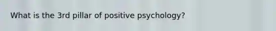 What is the 3rd pillar of positive psychology?