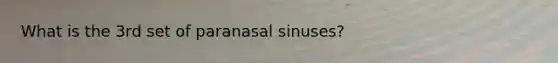 What is the 3rd set of paranasal sinuses?