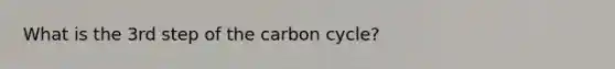 What is the 3rd step of the carbon cycle?