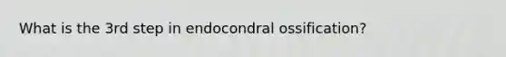 What is the 3rd step in endocondral ossification?