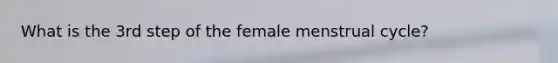 What is the 3rd step of the female menstrual cycle?