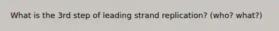 What is the 3rd step of leading strand replication? (who? what?)