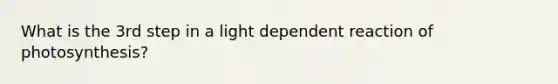 What is the 3rd step in a light dependent reaction of photosynthesis?