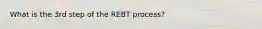 What is the 3rd step of the REBT process?