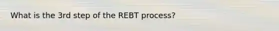 What is the 3rd step of the REBT process?