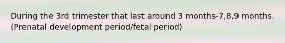 During the 3rd trimester that last around 3 months-7,8,9 months. (Prenatal development period/fetal period)