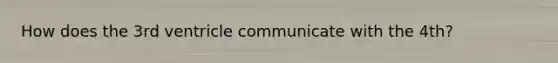 How does the 3rd ventricle communicate with the 4th?