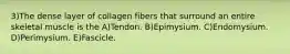 3)The dense layer of collagen fibers that surround an entire skeletal muscle is the A)Tendon. B)Epimysium. C)Endomysium. D)Perimysium. E)Fascicle.