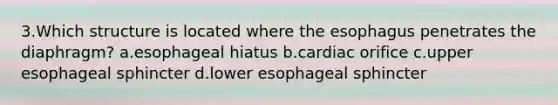 3.Which structure is located where the esophagus penetrates the diaphragm? a.esophageal hiatus b.cardiac orifice c.upper esophageal sphincter d.lower esophageal sphincter