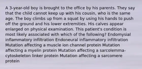 A 3-year-old boy is brought to the office by his parents. They say that the child cannot keep up with his cousin, who is the same age. The boy climbs up from a squat by using his hands to push off the ground and his lower extremities. His calves appear enlarged on physical examination. This patient's condition is most likely associated with which of the following? Endomysial inflammatory infiltration Endoneural inflammatory infiltration Mutation affecting a muscle ion channel protein Mutation affecting a myelin protein Mutation affecting a sarcolemma-cytoskeleton linker protein Mutation affecting a sarcomere protein