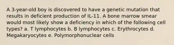 A 3-year-old boy is discovered to have a genetic mutation that results in deficient production of IL-11. A bone marrow smear would most likely show a deficiency in which of the following cell types? a. T lymphocytes b. B lymphocytes c. Erythrocytes d. Megakaryocytes e. Polymorphonuclear cells